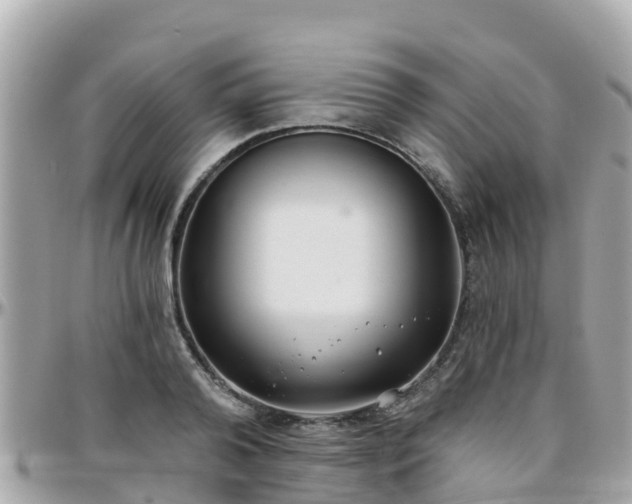 X0000096210792200801251033