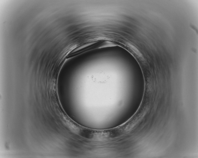 X0000096210793200801251033