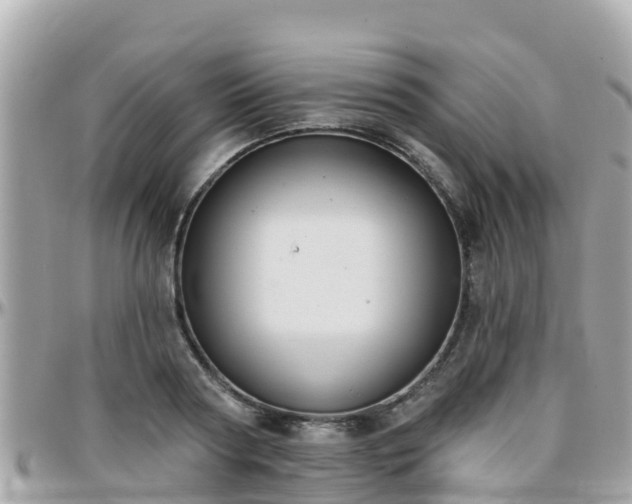 X0000096210794200801251033