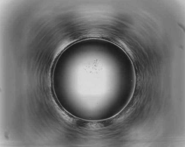 X0000096210795200801251033