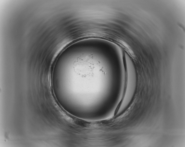 X0000096210796200801251033