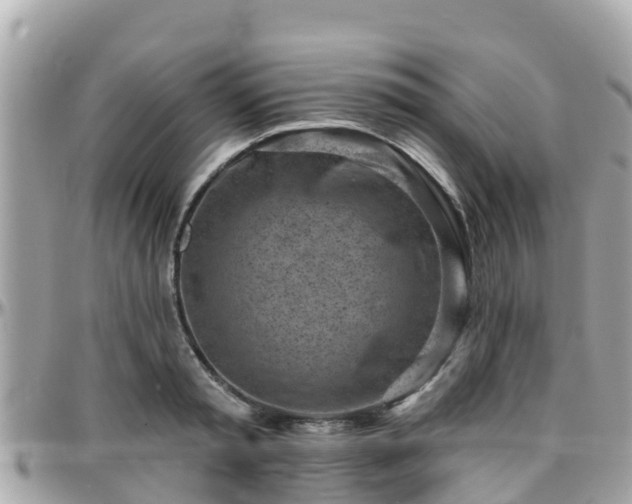 X0000096210797200801251033