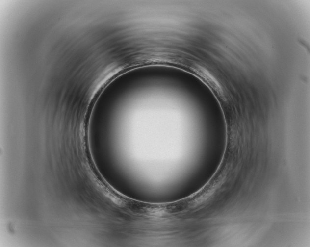 X0000096210798200801251033