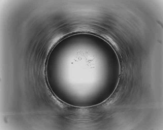 X0000096210799200801251033