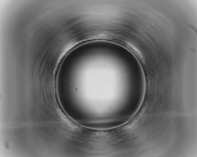 X0000096210800200801251033