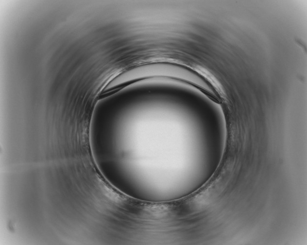 X0000096210801200801251033