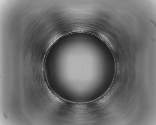 X0000096210802200801251033