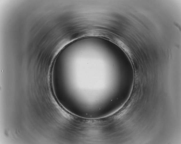 X0000096210803200801251033