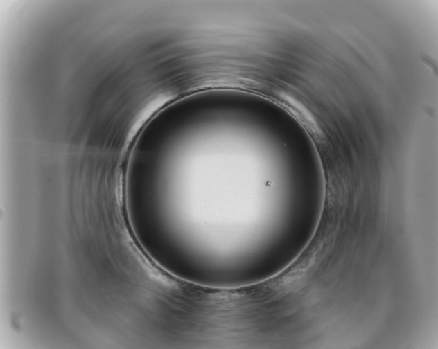 X0000096210804200801251033