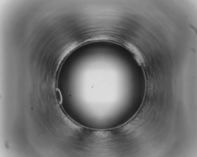 X0000096210805200801251033