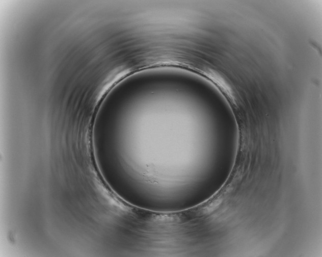 X0000096210806200801251033