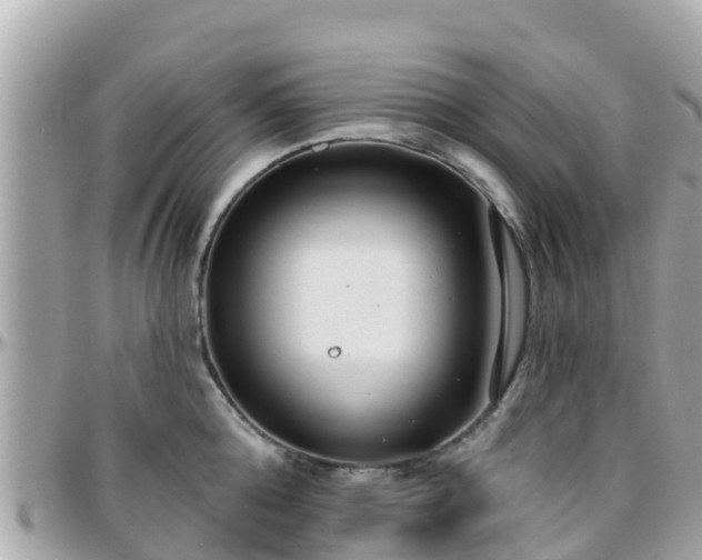 X0000096210808200801251033