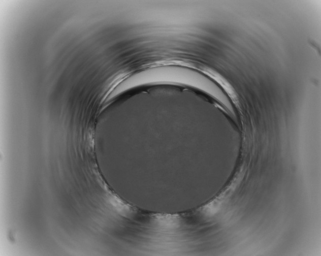 X0000096210809200801251033