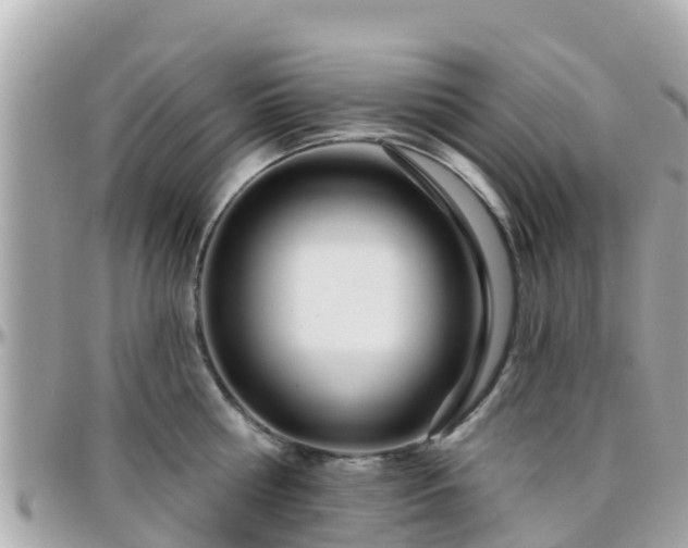 X0000096210810200801251033