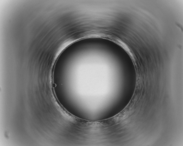 X0000096210811200801251033