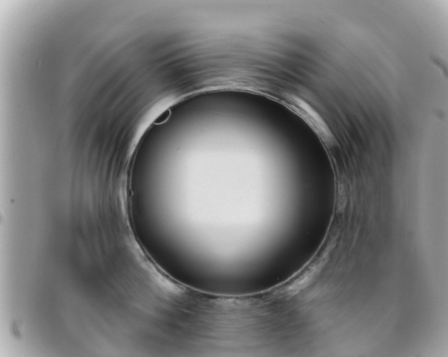 X0000096210812200801251033