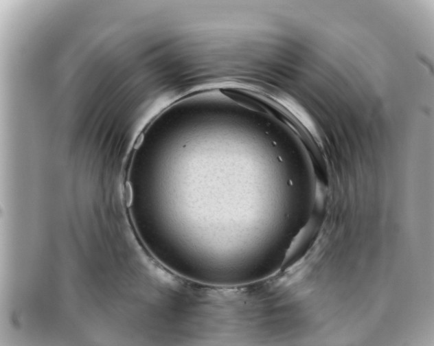 X0000096210813200801251033