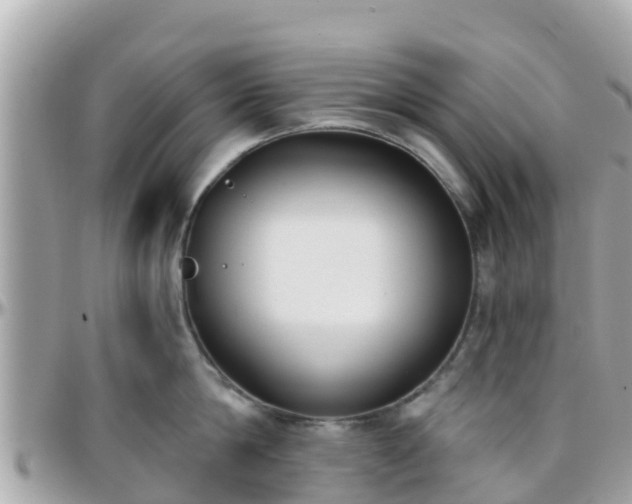 X0000096210814200801251033