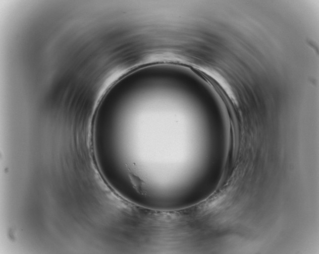 X0000096210815200801251033