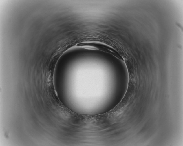 X0000096210818200801251032