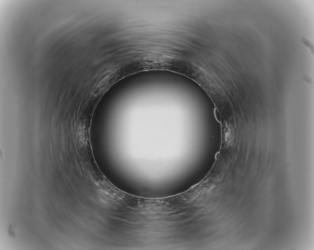 X0000096210819200801251032