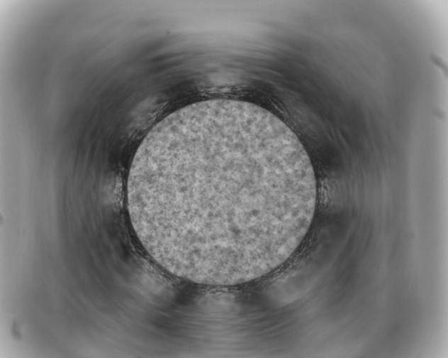 X0000096210820200801251032