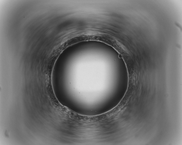 X0000096210821200801251032