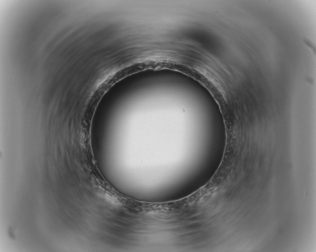 X0000096210823200801251032