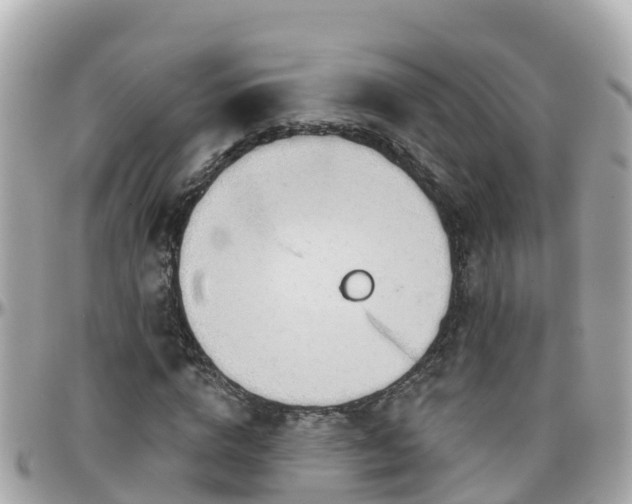 X0000096210824200801251032