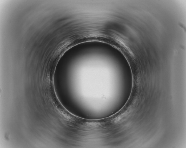 X0000096210825200801251032