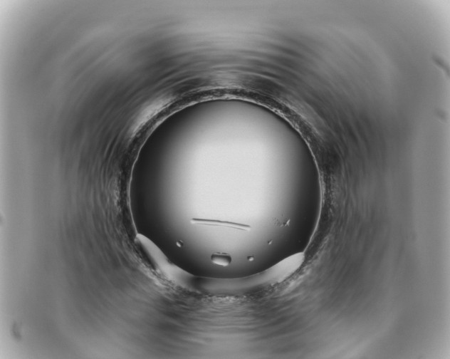 X0000096210826200801251032