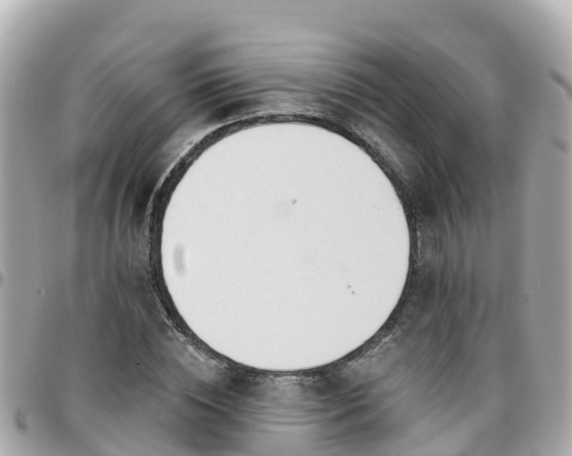 X0000096210828200801251032