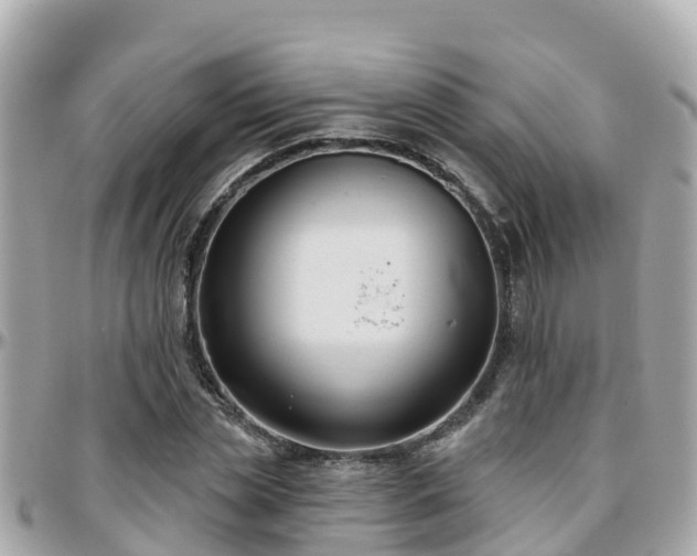 X0000096210829200801251032