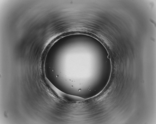 X0000096210830200801251033