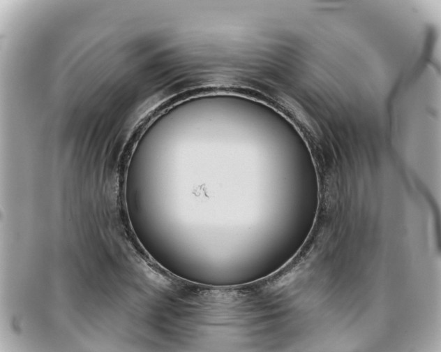 X0000096210831200801251033