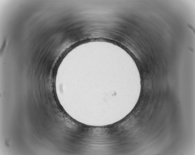 X0000096210832200801251033