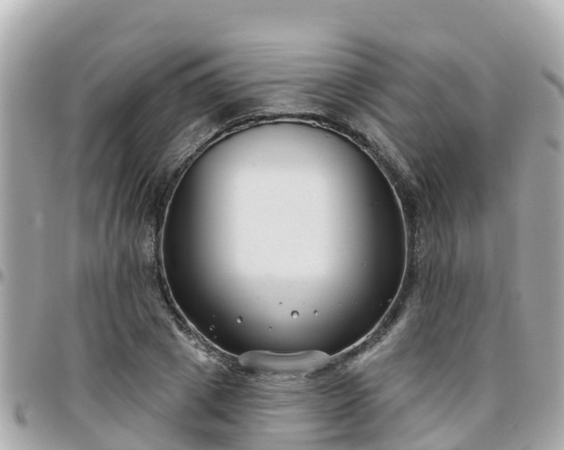 X0000096210833200801251033