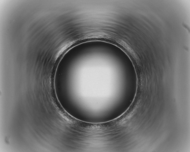 X0000096210834200801251033