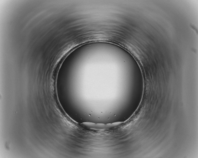 X0000096210835200801251033