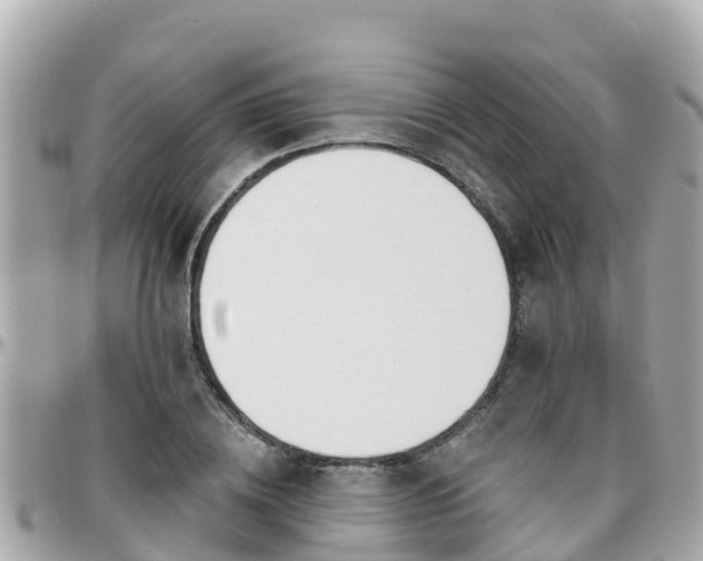 X0000096210836200801251033