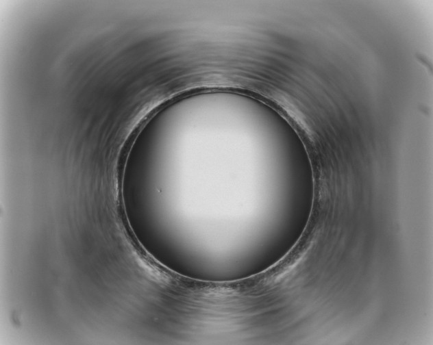 X0000096210837200801251033