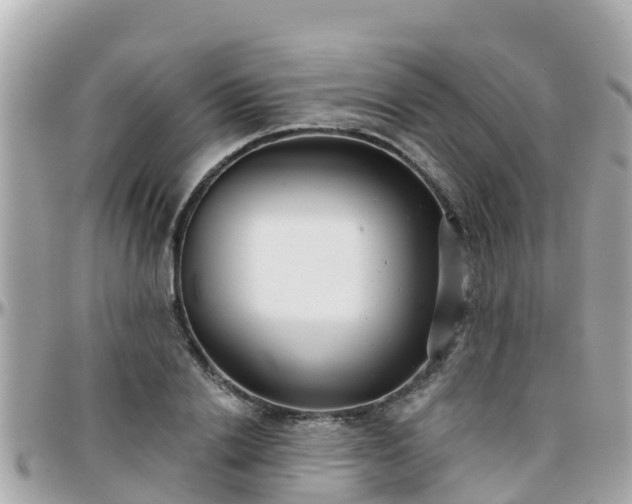 X0000096210838200801251033