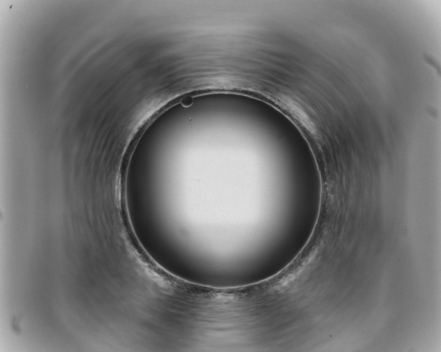 X0000096210839200801251033