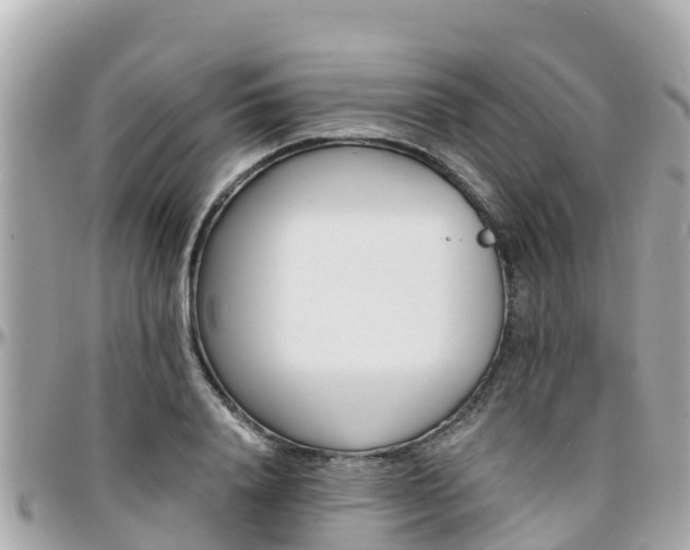 X0000096210840200801251033