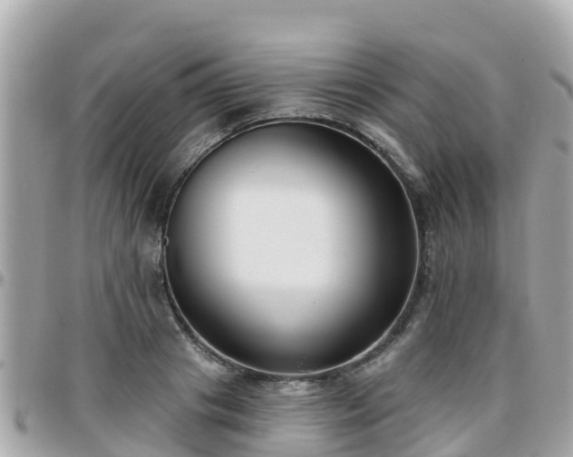 X0000096210841200801251033