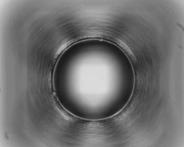 X0000096210842200801251033