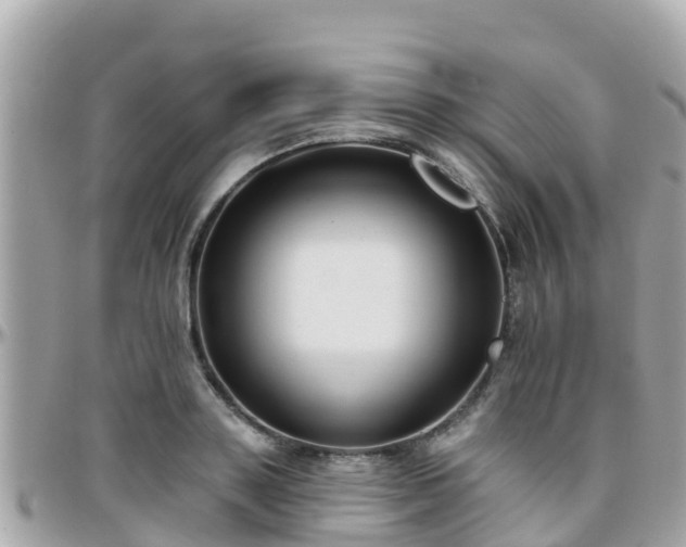 X0000096210843200801251033