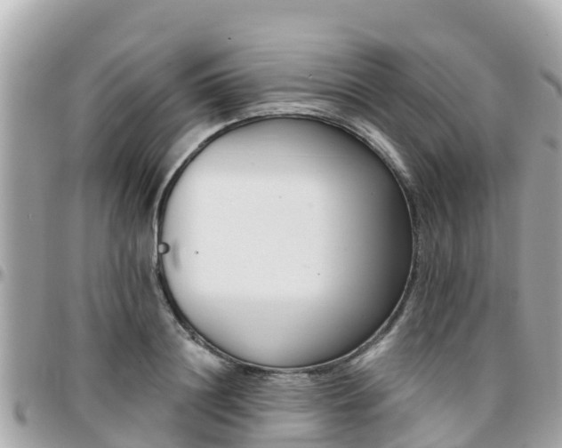 X0000096210844200801251033