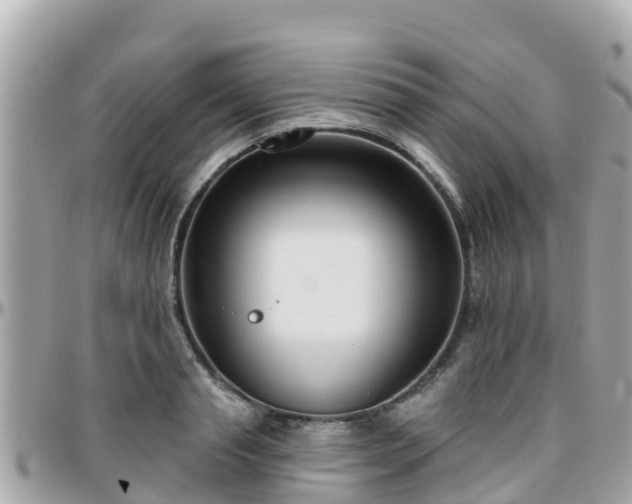 X0000096210845200801251033