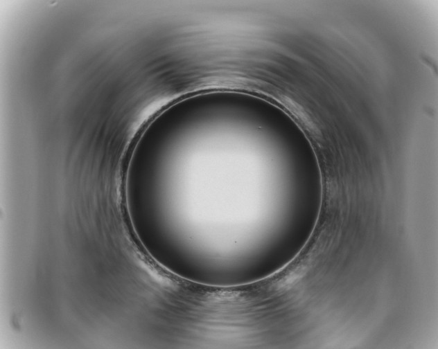 X0000096210846200801251033